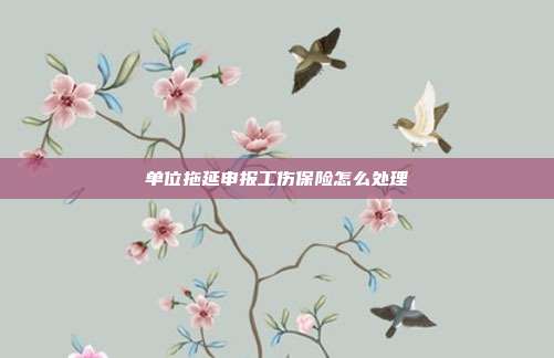 单位拖延申报工伤保险怎么处理
