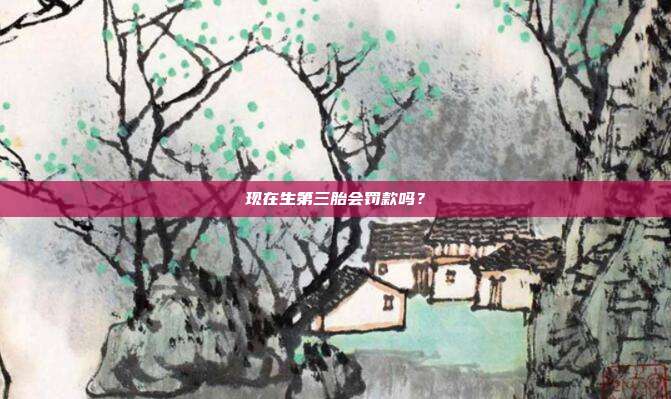 现在生第三胎会罚款吗？