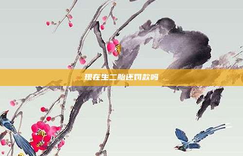 现在生二胎还?？盥?></center><p style=