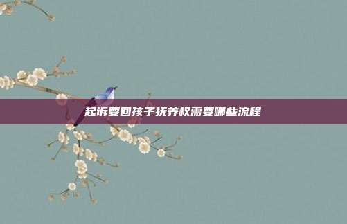 起诉要回孩子抚养权需要哪些流程