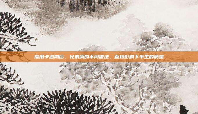 信用卡逾期后,兄弟俩的不同做法,直接影响下半生的质量