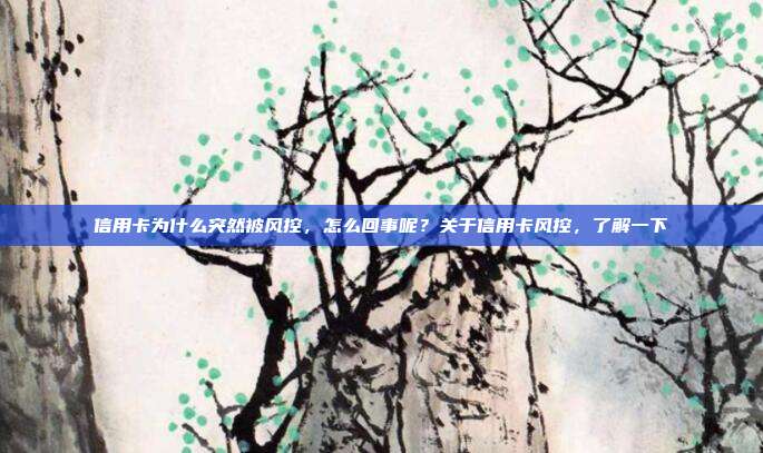 信用卡为什么突然被风控，怎么回事呢？关于信用卡风控，了解一下