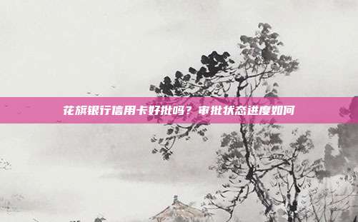 花旗银行信用卡好批吗？审批状态进度如何