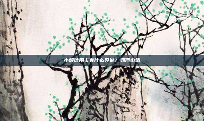 小额信用卡有什么好处？如何申请