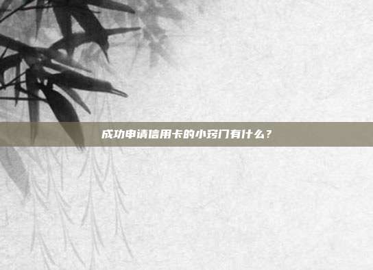 成功申请信用卡的小窍门有什么？