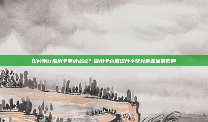 招商银行信用卡申请途径？信用卡额度提升不快受哪些因素影响