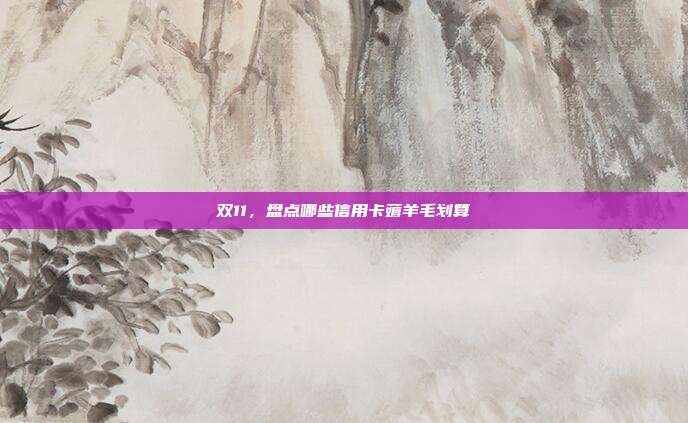 双11，盘点哪些信用卡薅羊毛划算