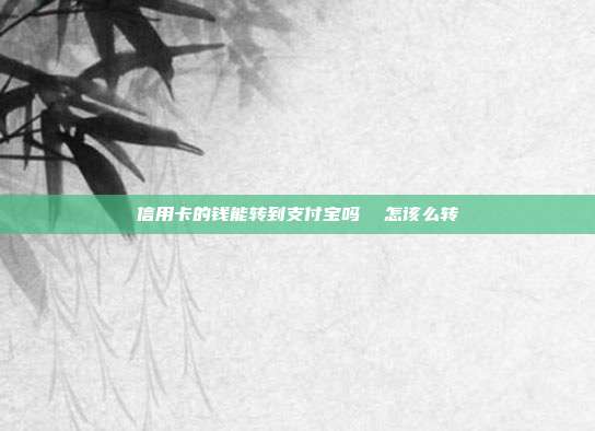信用卡的钱能转到支付宝吗  怎该么转