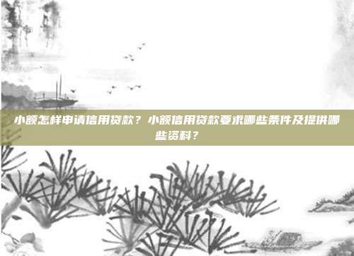 小额怎样申请信用贷款？小额信用贷款要求哪些条件及提供哪些资料？