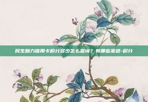民生魅力信用卡积分多少怎么查询？有哪些渠道-积分