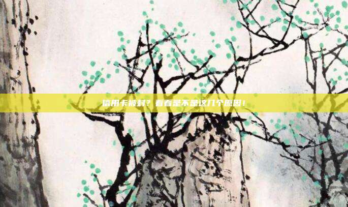 信用卡被封?看看是不是这几个原因!