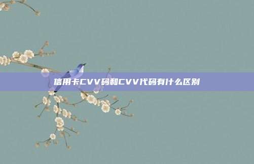 信用卡CVV码和CVV代码有什么区别