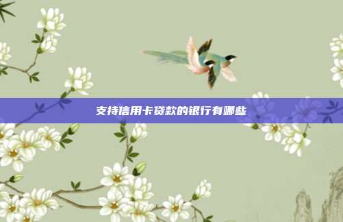 支持信用卡贷款的银行有哪些