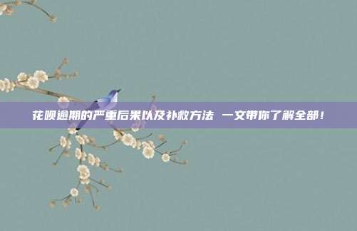 花呗逾期的严重后果以及补救方法 一文带你了解全部!