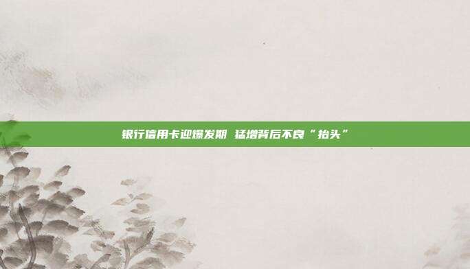 银行信用卡迎爆发期 猛增背后不良“抬头”