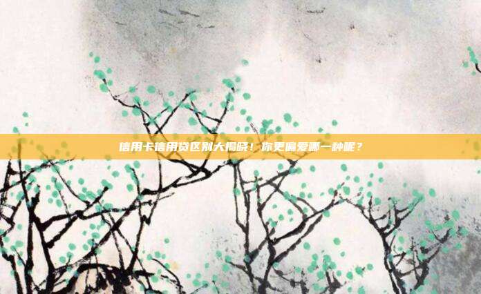 信用卡信用贷区别大揭晓！你更偏爱哪一种呢？
