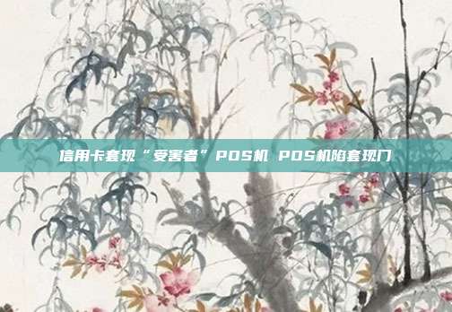 信用卡套现“受害者”POS机 POS机陷套现门