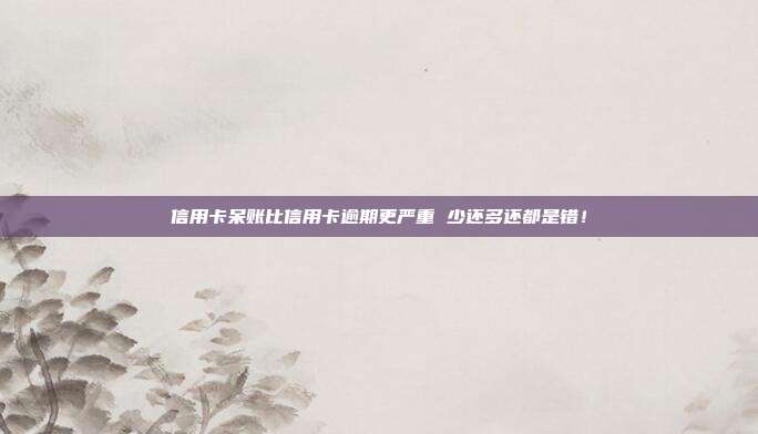 信用卡呆账比信用卡逾期更严重 少还多还都是错!