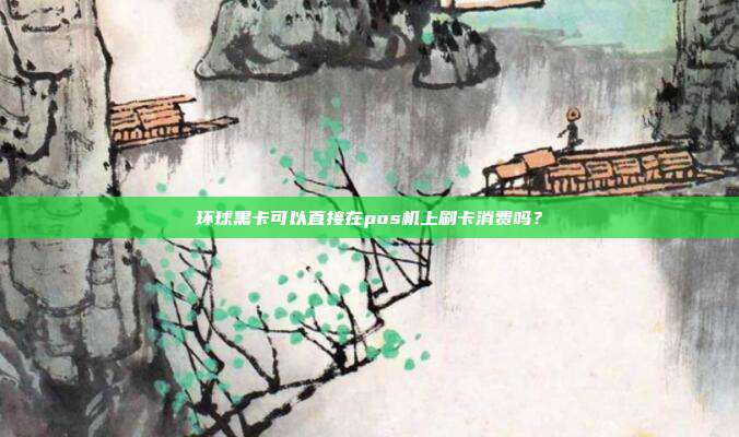 环球黑卡可以直接在pos机上刷卡消费吗？
