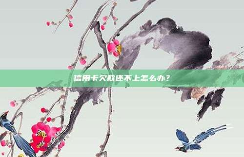 信用卡欠款还不上怎么办？