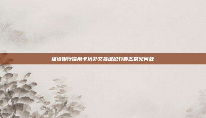 建设银行信用卡境外交易退税有哪些常见问题