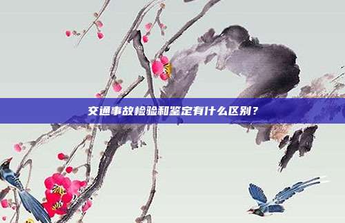 交通事故检验和鉴定有什么区别？