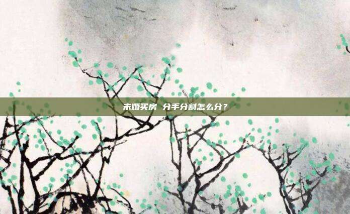 未婚买房 分手分割怎么分？