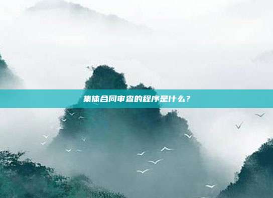 集体合同审查的程序是什么？