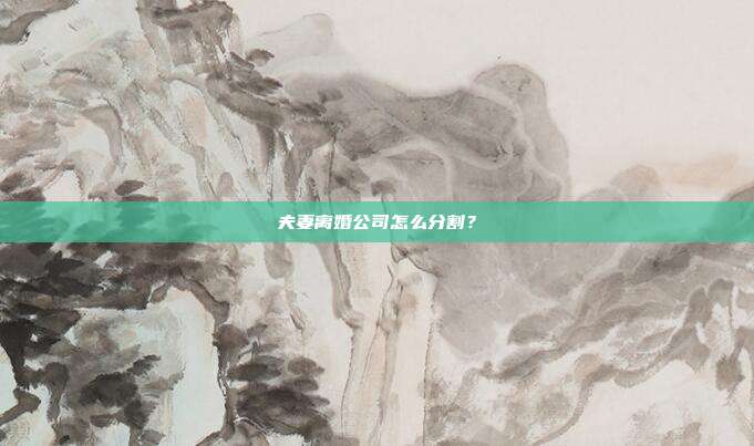 夫妻离婚公司怎么分割?